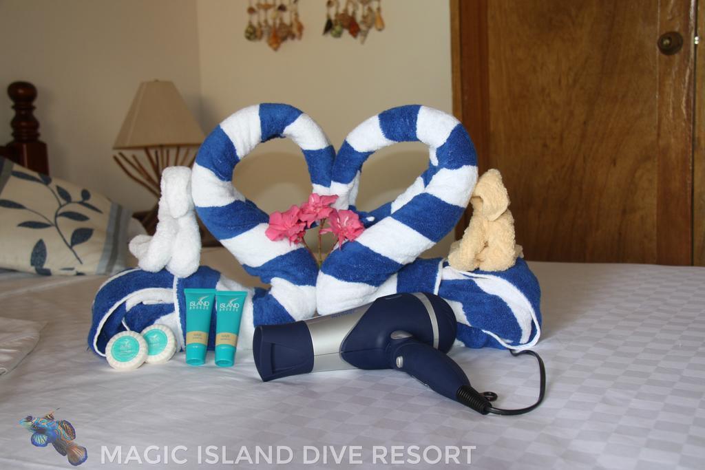 Magic Island Dive Resort Moalboal Pokoj fotografie